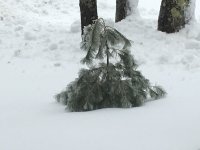 IMG_1956.JPG