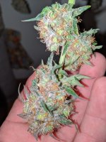IMG_20200206_201212.jpg