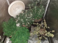 IMG_20200207_214754068.jpg