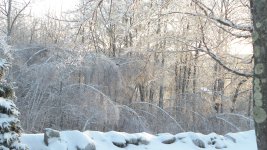 DSCN4597.JPG