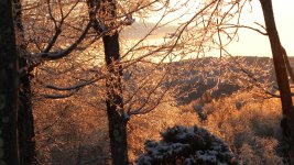 DSCN4612.JPG