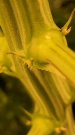 photo97111.png