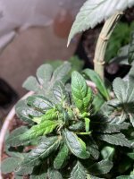 AB117560-0DBA-49C3-B09B-C47942DDBB93.jpeg