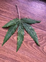 photo97289.jpg