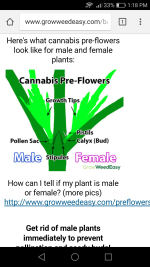 photo98468.png