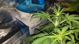 20200315_173243.jpg