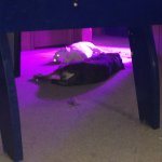 IMG_20200317_202512265.jpg