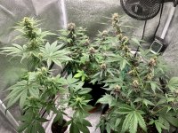 B9A605E2-AAFC-4540-B647-F5C12D6D9E28.jpeg