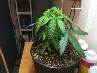6EABD3F6-E678-41FA-B003-CA43883DF632.jpeg
