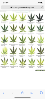 68B244D4-F3AE-4FF0-8378-4BC0970AAED4.png