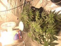 photo100959.jpg