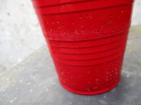 IMG_0555.JPG
