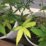 photo102623.jpg