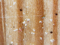 photo102824.png