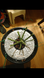 photo103259.png