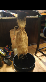 photo103260.png