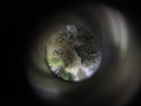 9B877019-8E05-4EEA-84B4-9C25793BF16F.jpeg