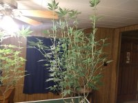 IMG_20200420_013031463.jpg