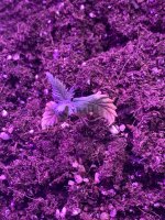 IMG_7179.jpeg