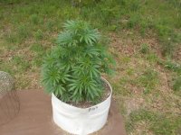 DSCN1228.JPG