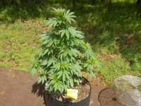 photo104019.jpg