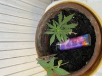 photo104383.jpg
