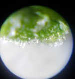 20200507_175653.jpg