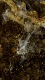 photo105005.png