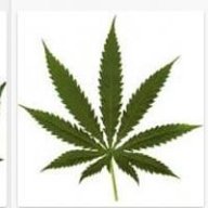 Grower-Aaron