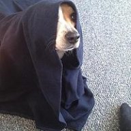 Obi-Wan