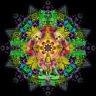 sonahigh