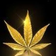 Kingmidas409