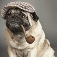 BudBuddy