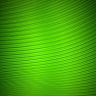 DreamofGreen