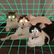 3HashCats