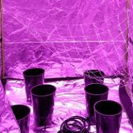 OneMichiganGrampa