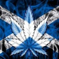 ScottishWeed