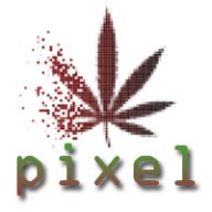 Pixel
