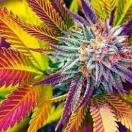 Stonerchick90