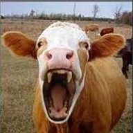 MadCow