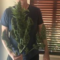 Rocmonkey