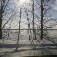 Snowls50