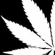 Ganja