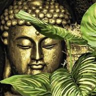 gardenbuddhist