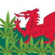 welshweed