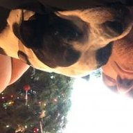 MyDogSpot