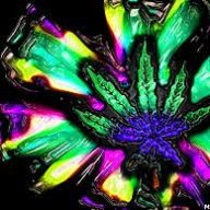 HighLife420AlwaysBlaze