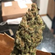 BrazilGrow