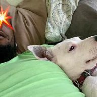 OnDRockGrower