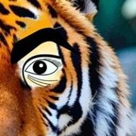 Slytiger